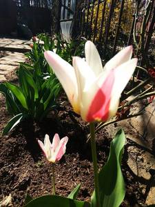 IMG_20190418_152053.thumb.jpg.7bd7da598521486508b4c97c26966d8c.jpg