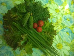 IMG_20190526_111835.jpg