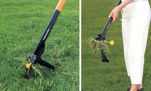 weeder_5b1_5d.jpg
