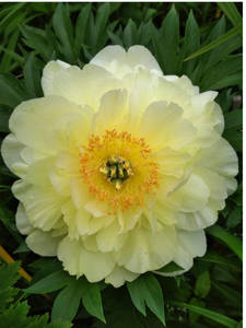 Скриншот 26.06.19 120425.bmp.jpg