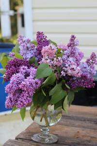 IMG_7889 (2).JPGмм.JPG
