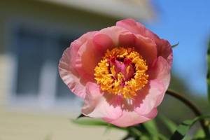 IMG_7879.JPGм.JPG