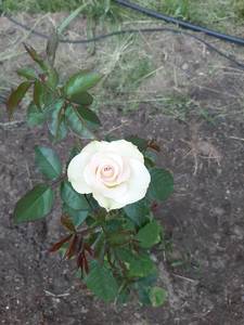 20190603_145142.jpg