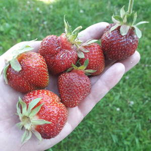 20190606_074853.jpg