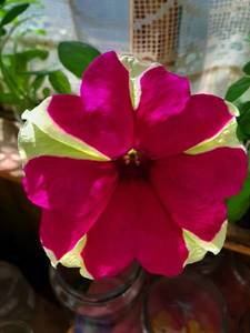 20190612_094004.jpg
