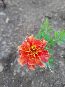20190612_135211.jpg