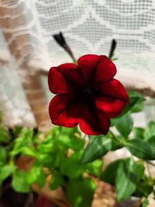 20190613_120730.jpg