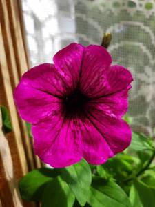 20190613_120741.jpg