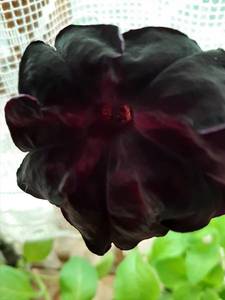 20190614_123039.jpg