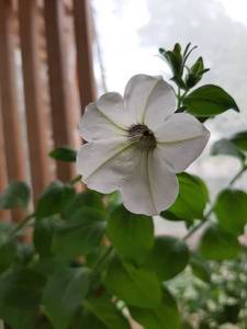 20190614_123253.jpg
