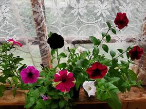 20190614_142226.jpg