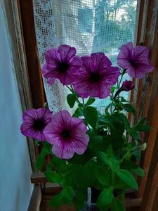 20190619_193023.jpg
