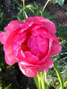 86146EAA-4232-4301-9EC1-E9B8BC29CAA7.jpeg