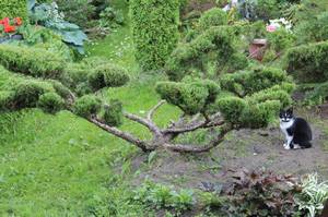 IMG_8788.JPGмм.JPG