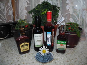 DSCN9591.JPG