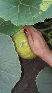 IMG-20190625-WA0032.thumb.jpeg.afe09b996c68ee5d12bcab99c697626c.jpeg