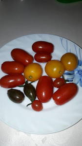 IMG-20190630-WA0013.thumb.jpeg.3b1f1f1974075c1ae1a138e7f5298c60.jpeg