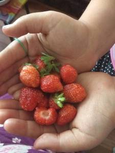 IMG_20190601_140149.jpg