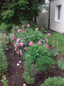 IMG_20190601_141726.jpg