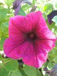 image-2019-06-24 09_03_26.jpg