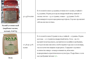 1298459323_4.thumb.png.240ad65be6fff3442fb53cd5311b66a4.png