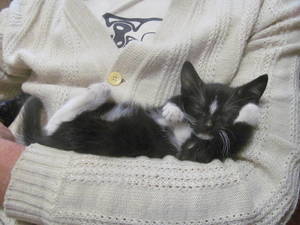 1545370016_20161656.thumb.jpg.771cce54c843192a3c1b21b542ec7651.jpg