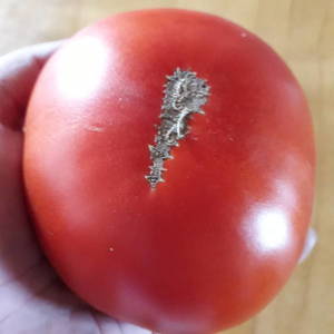 20190708_150618.thumb.jpg.8327178f9e52a952a2afb0b3e5840980.jpg