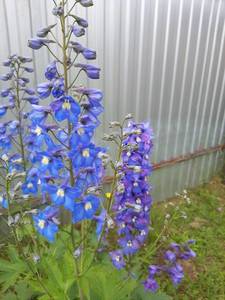 20190710_135543.jpg