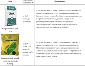 294704227_.thumb.png.6f176410b79d51f0e3c934fe454d854f.png