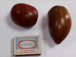 3596.thumb.jpg.cf62f37aba41f693e1cabdf37b095a88.jpg