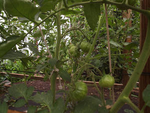 782670324_2403.thumb.jpg.31f26208e578032032ba3b4c70c2b6e1.jpg