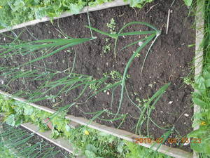 DSCN5855.thumb.JPG.a86727c70405407d8c94d3cbfd04a34b.JPG