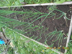 DSCN5857.thumb.JPG.22a3f363378897626a6e8cb484eef002.JPG
