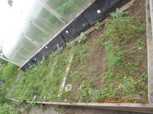 DSCN5903.thumb.JPG.857299f9bcc97335bb8e4baea69156de.JPG