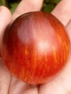 IMAG4429_1.jpg