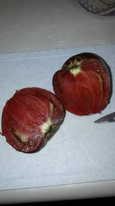 IMG-20190706-WA0012.thumb.jpeg.c3f9f8813d850fa8ba1cb836ef3df25d.jpeg
