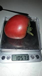 IMG-20190706-WA0014.thumb.jpeg.96f8204950bf3e2af2db5f8bd5b49d72.jpeg