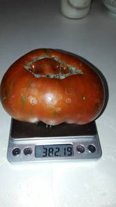 IMG-20190707-WA0045.thumb.jpeg.8471aef5a59f3d18b8ef7dcb9dc077d4.jpeg