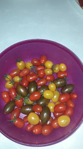 IMG-20190713-WA0006.thumb.jpeg.a2aeee9982395d36f413e2839ae0d62f.jpeg