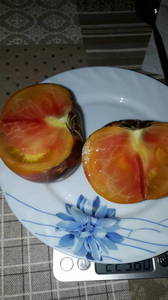 IMG-20190718-WA0019.thumb.jpeg.70dc87d6618afccfe2b5157a4f0eebaa.jpeg