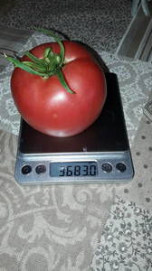 IMG-20190720-WA0008.thumb.jpeg.52c493efe38d5f04c841bf67e466437c.jpeg