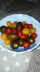 IMG-20190722-WA0026.thumb.jpeg.4fe8c802b7778f86820a51d0b58d1f1a.jpeg