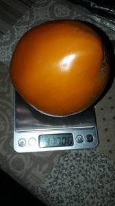 IMG-20190726-WA0030.thumb.jpeg.5d43b3544e79828c52862d02f96e591b.jpeg