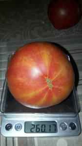 IMG-20190727-WA0002.thumb.jpeg.2f873d564bf331dd99d1d624096573e3.jpeg