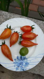 IMG-20190728-WA0017.thumb.jpeg.701f020ff5adf46bb416a73f860a3bd9.jpeg