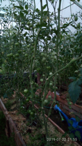 image.thumb.png.6cd9bd2fd7a8e0c7876c2d4861004bd3.png