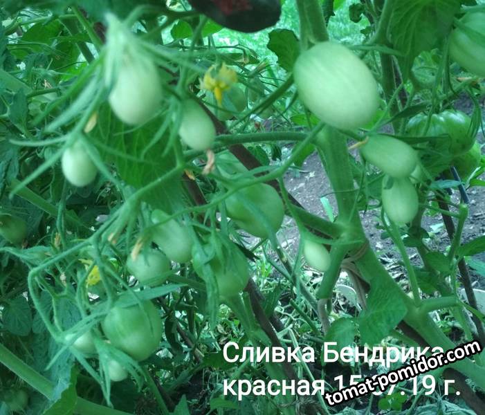 image-2019-07-23 20_09_30.jpg