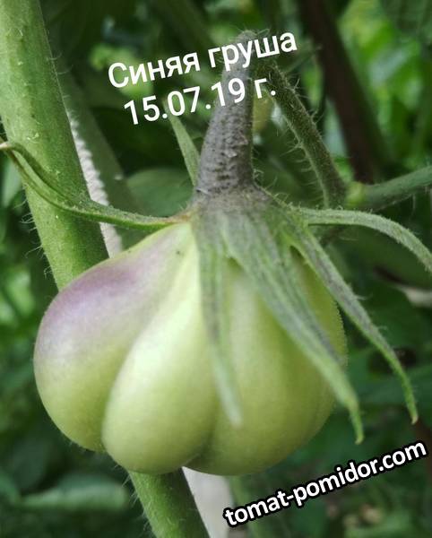 image-2019-07-23 20_09_41.jpg