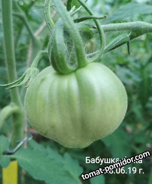 image-2019-07-02 08_41_19.jpg