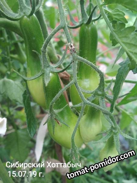 image-2019-07-23 20_09_06.jpg